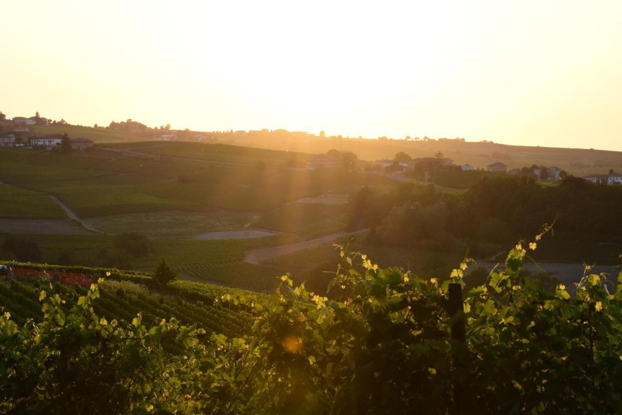 Agriturismo Cascina L'Arche سانتو ستيفانو بيلبو المظهر الخارجي الصورة